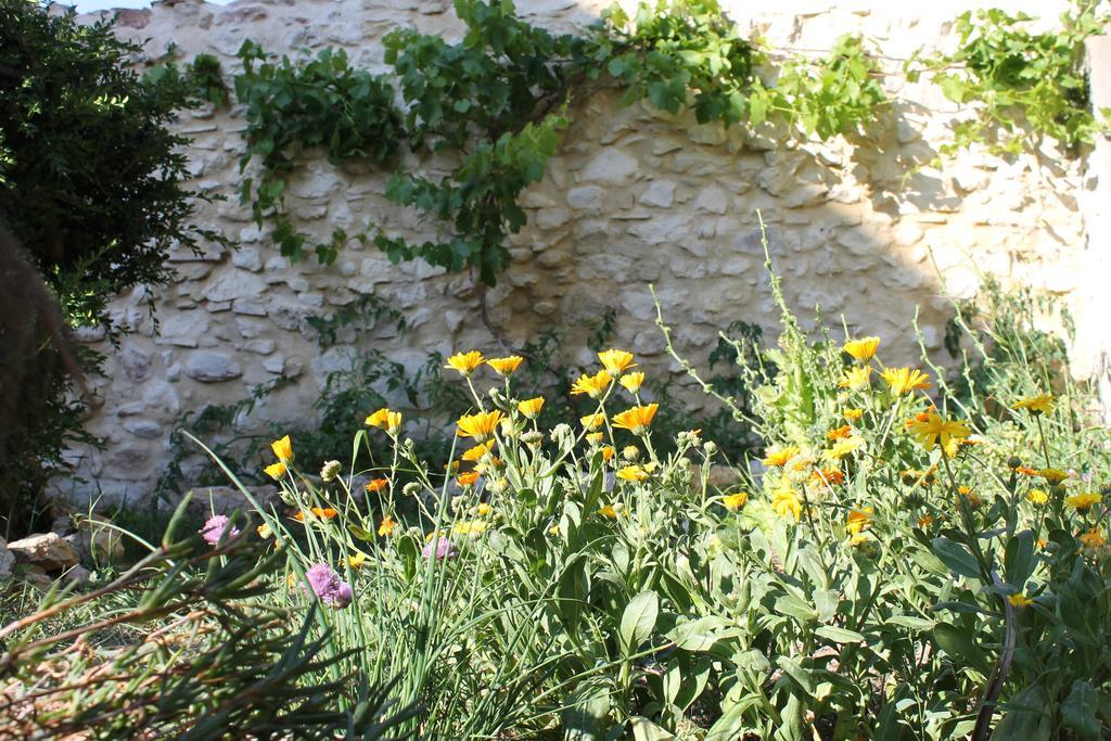 La Montagute Villa Thezan-des-Corbieres Exterior photo